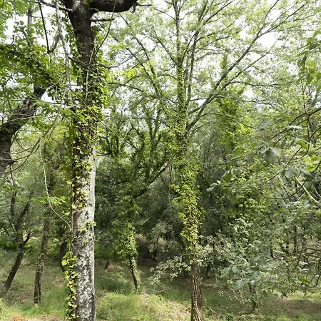 - Les Adrets Esterel Apartman *