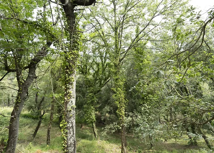 - Les Adrets Esterel Lejlighed *